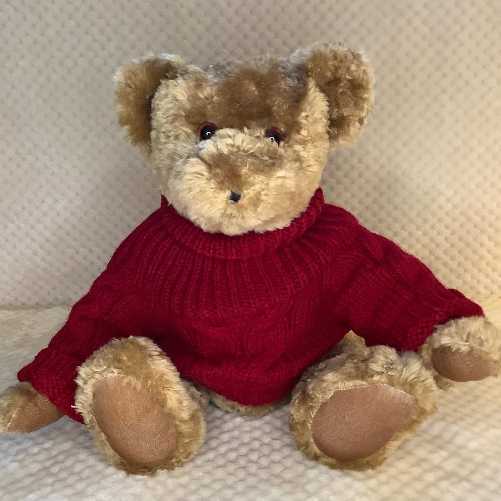 PC Children’s Charity Plush JADEN Teddy Bear Red Sweater Stuffed Animal Toy